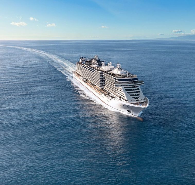 large_msc_seaview_navio_2