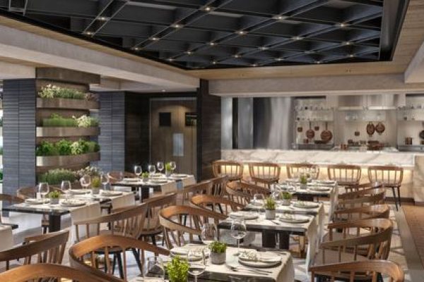 small_msc_world_europa_Rest_Chefs_Garden_Kitchen_release